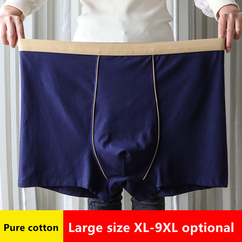 Große Größe Nahtlose Unterwäsc – Multi Pack Underwear Bewertung und Preis
